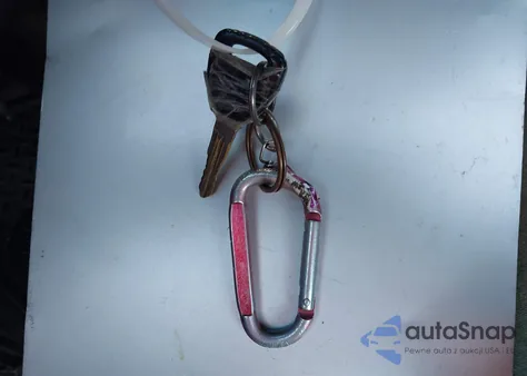 2002 Honda Odyssey Ex z USA, uszkodzony, nr VIN 5FNRL186328015965